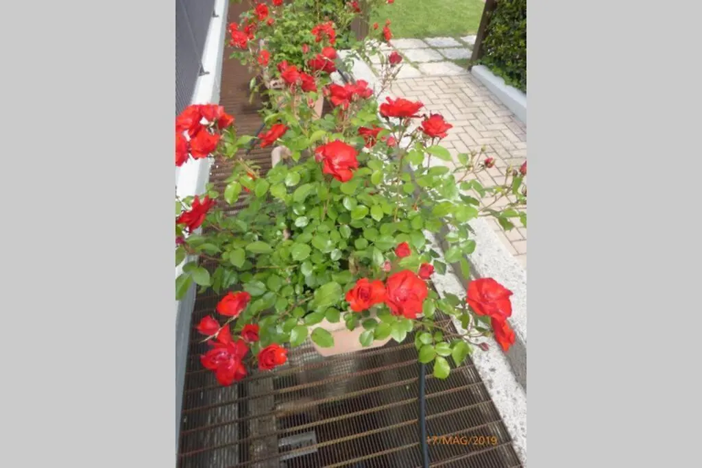Residence La Casara Lazise Italy